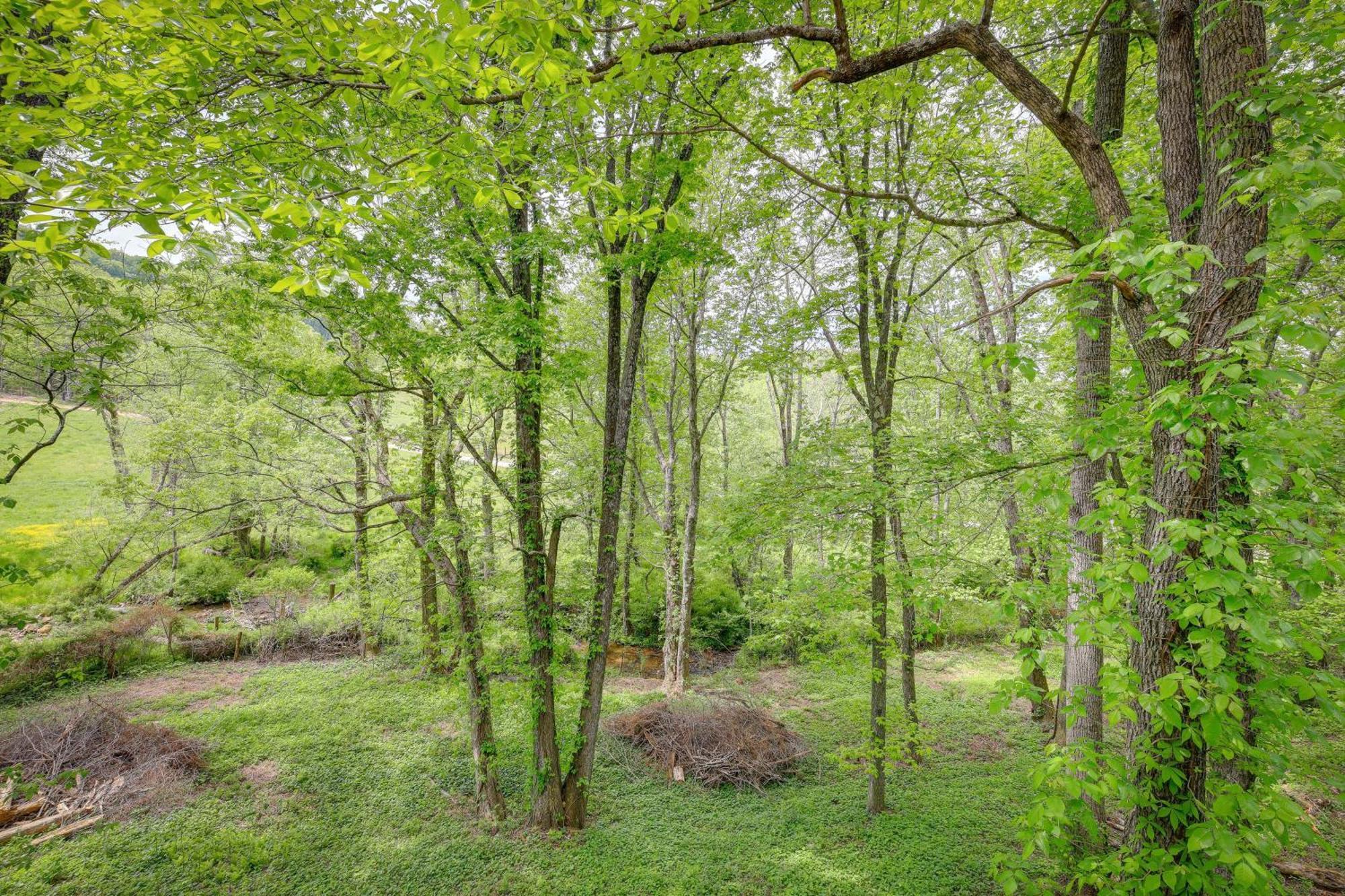 Quaint Blue Ridge Cabin Rental With On-Site Stream! Sparta Exterior foto
